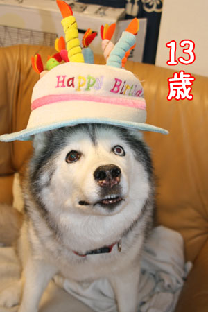 ♪ ユーリ 13th Birthday ♪_c0161772_220651.jpg