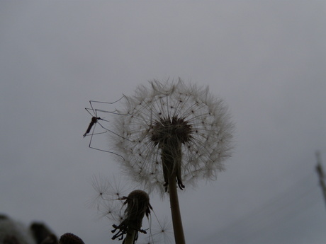 フォトの日_d0165772_2155589.jpg
