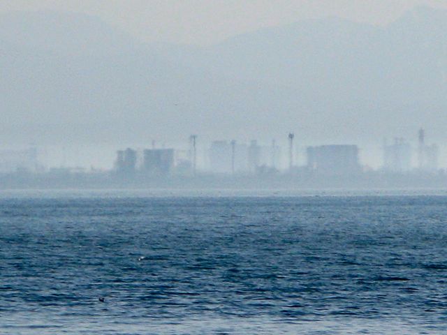 a0100274_4535966.jpg