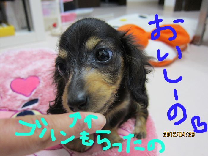☆おとまり保育園☆_c0245679_1932597.jpg