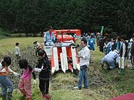 稲刈り体験(月光原小・西根小)_d0247484_23122034.jpg