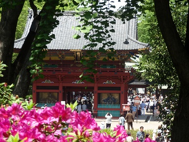 根津神社つつじまつり_d0147991_20454016.jpg