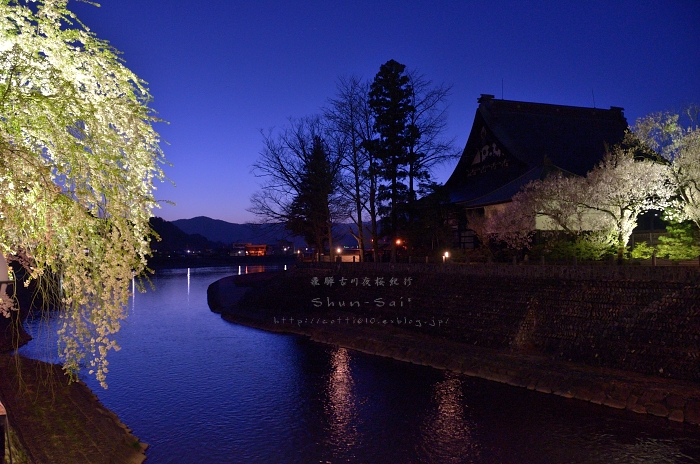 飛騨古川夜桜紀行_d0218192_23461818.jpg