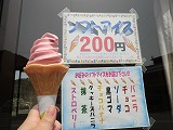 満開!!_b0219993_16432351.jpg
