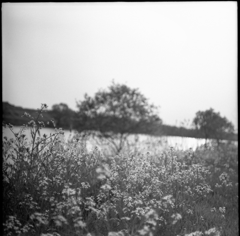f0161595_1957269.jpg