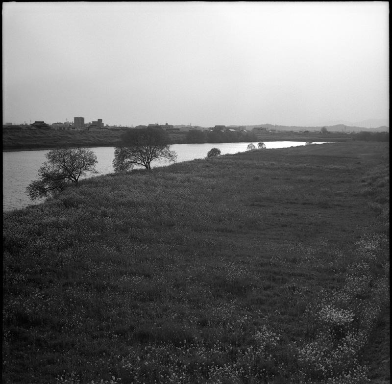 f0161595_19574875.jpg