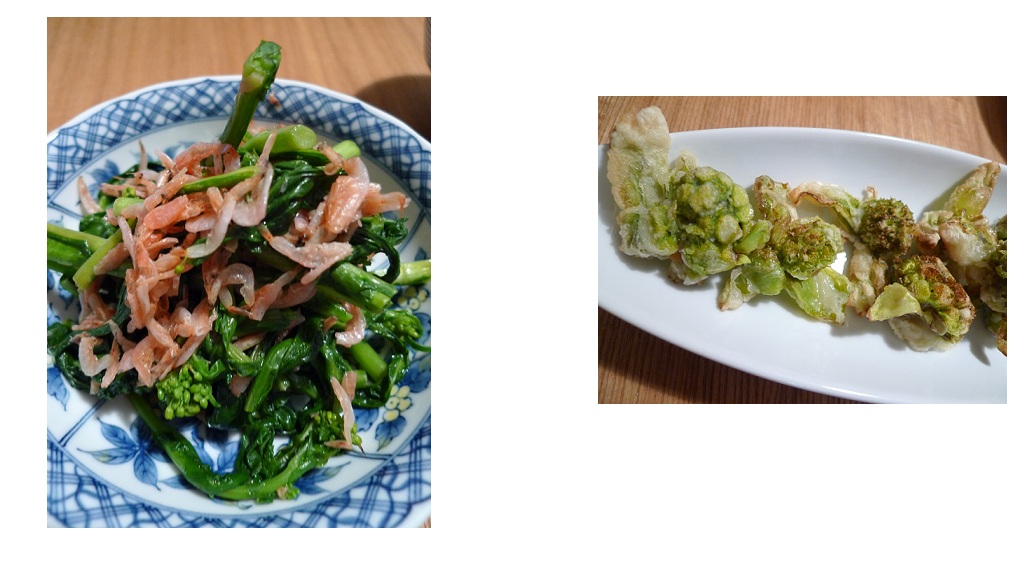 白河郷&高山市観光 2日目後篇_a0188798_23582030.jpg