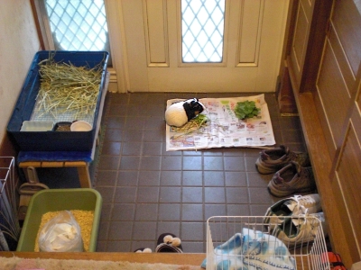 c0241498_02278.jpg