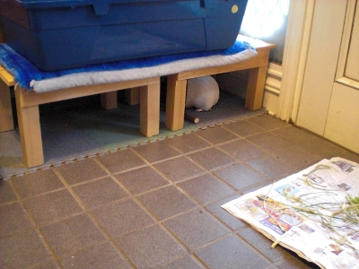 c0241498_03933.jpg