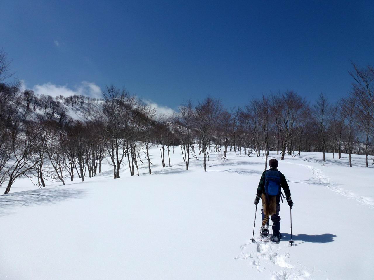 上谷山－江越国境尾根のスノーシューハイク_e0110500_19313730.jpg