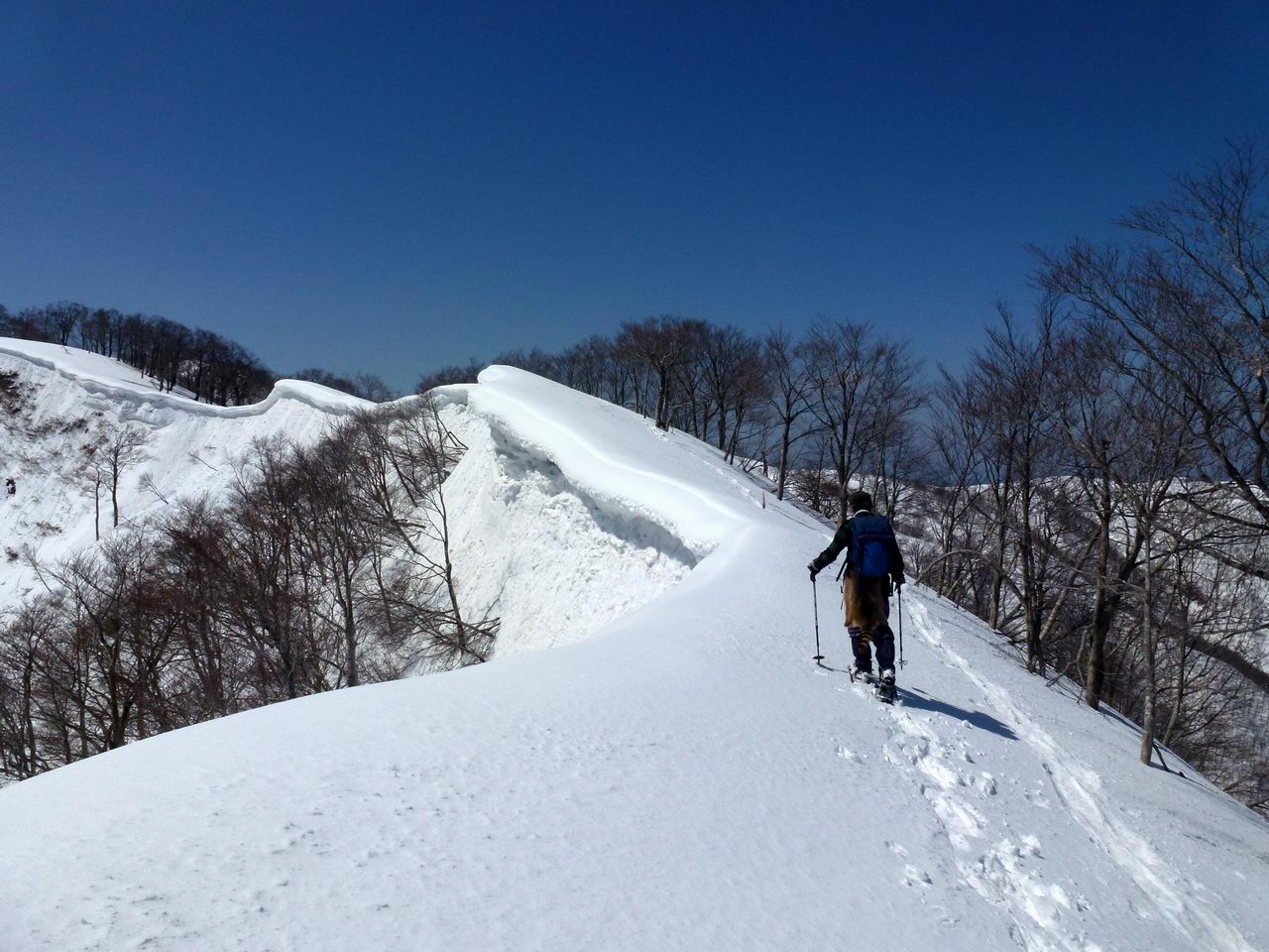 上谷山－江越国境尾根のスノーシューハイク_e0110500_19361347.jpg