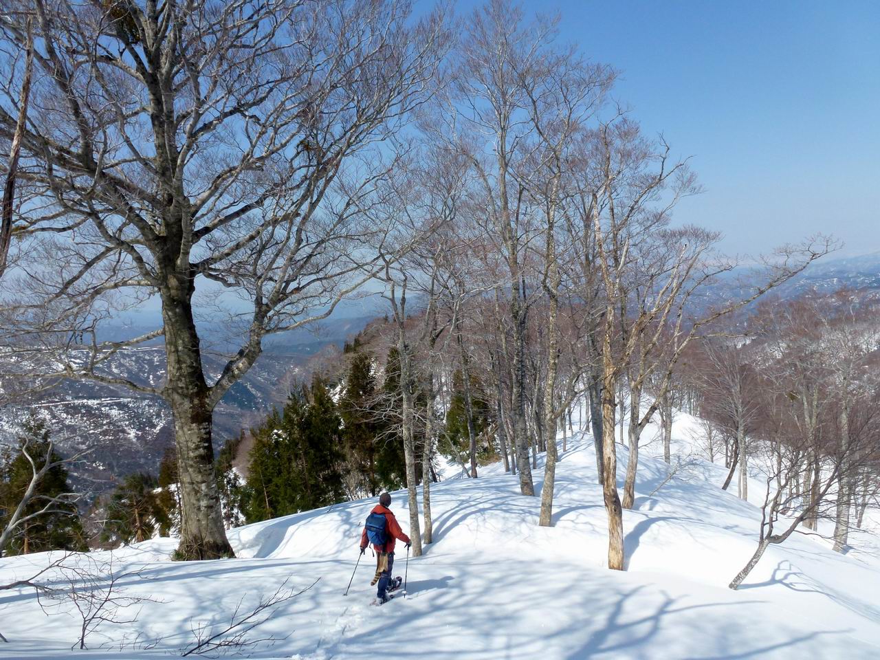 上谷山－江越国境尾根のスノーシューハイク_e0110500_2150115.jpg