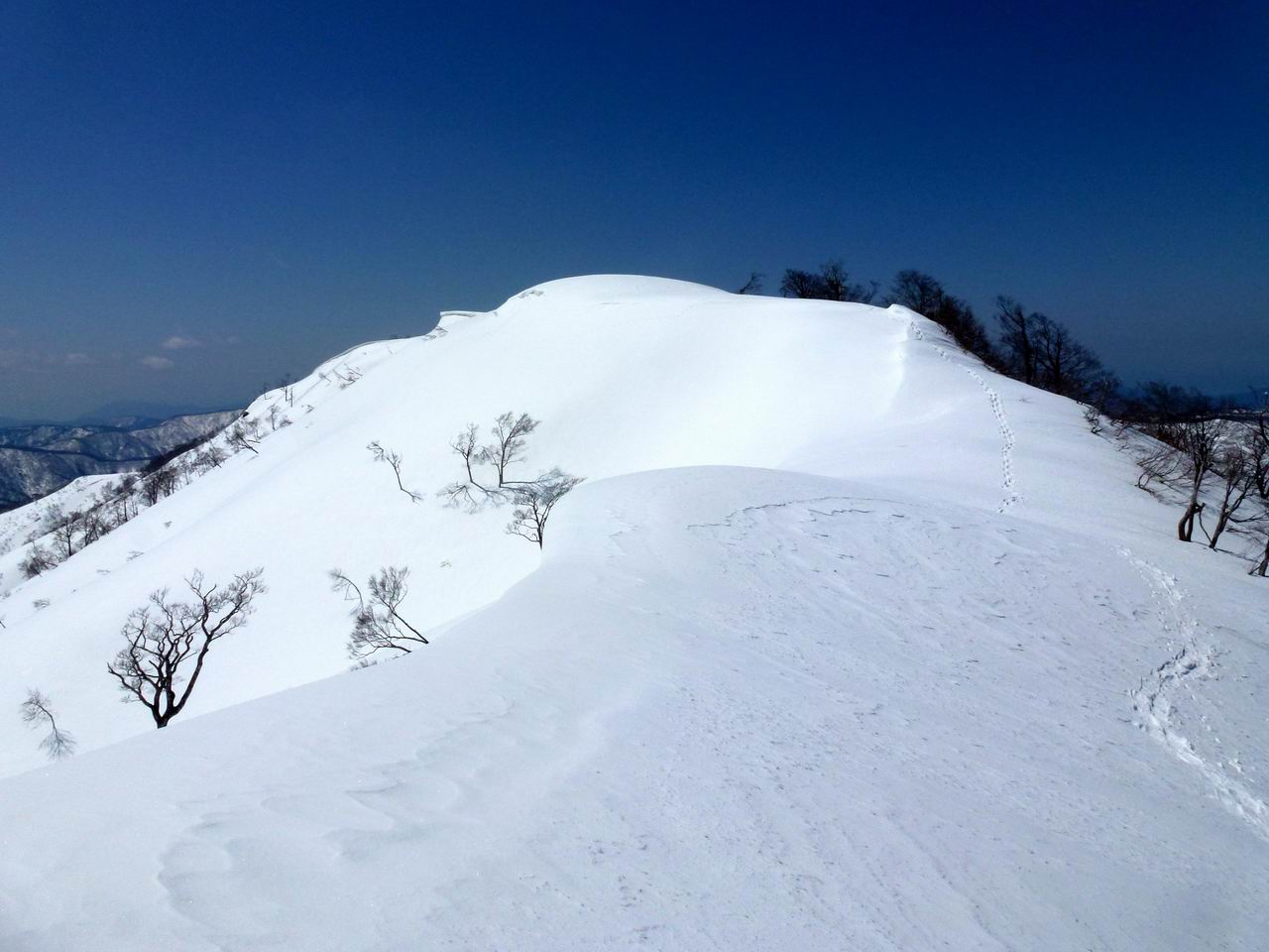 上谷山－江越国境尾根のスノーシューハイク_e0110500_2164454.jpg