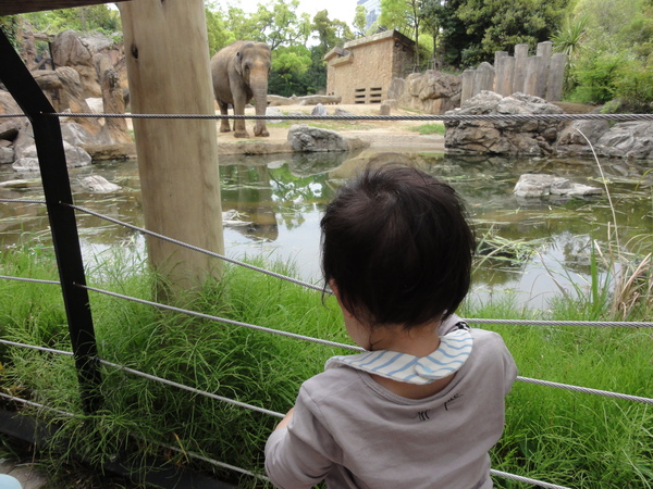 動物園へ行く_e0269301_23105014.jpg