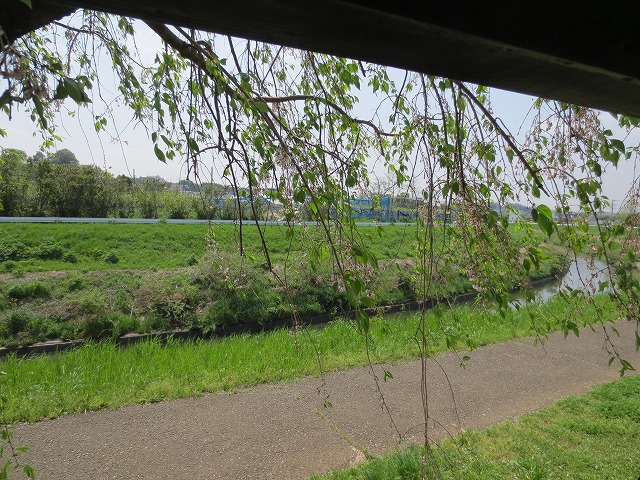 a0123003_6561234.jpg