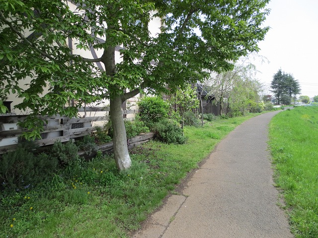 a0123003_6575672.jpg