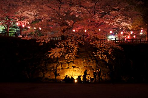 夜桜　小倉城_d0149103_982717.jpg