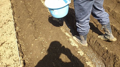 e0270403_032227.jpg