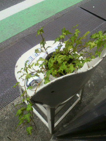 ４月も終わりですね。_b0018004_17172415.jpg