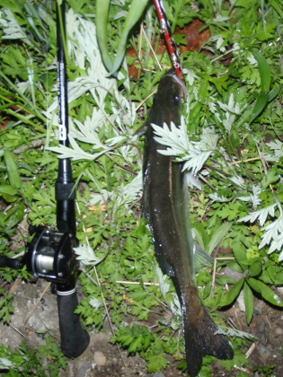 c0023804_0385454.jpg