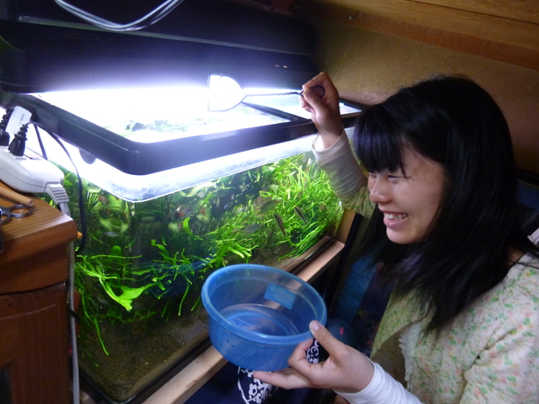 みずほとゆりとパクチーを植えようの会♪_a0080406_18502915.jpg