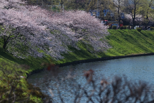 c0211309_22571959.jpg