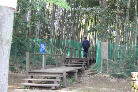 f0186509_19494056.jpg