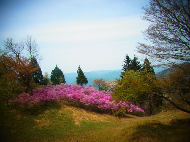 b0183911_14184029.jpg