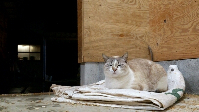 b0187620_20145266.jpg