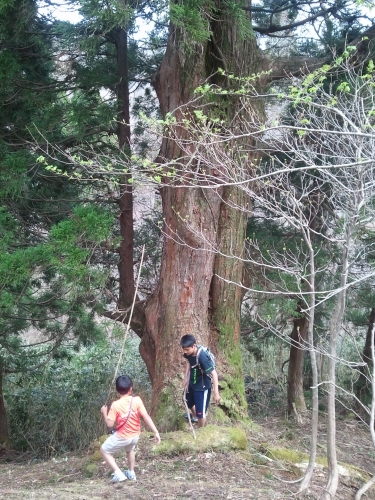 ２０１２　春の森林公園_e0054022_183714.jpg