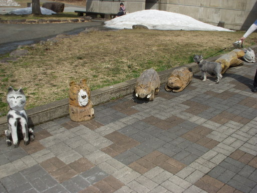 e0109622_194688.jpg