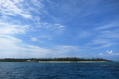 b0158923_20153088.jpg