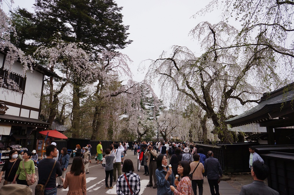 みちのくの小京都「角館の桜まつり」_d0224624_1935023.jpg