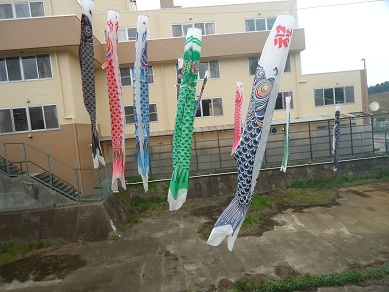 今年も気持ち良さそうに泳いでおります。_e0164724_694558.jpg