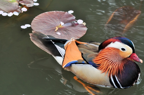 青葉山公園～仙台城跡_a0248728_0185817.jpg