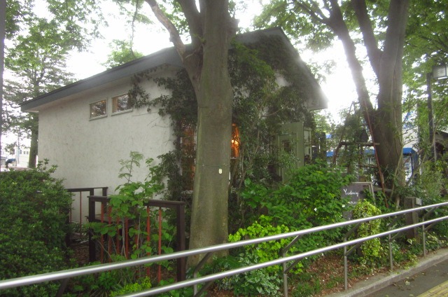 綺麗ではなく_c0102228_2124035.jpg