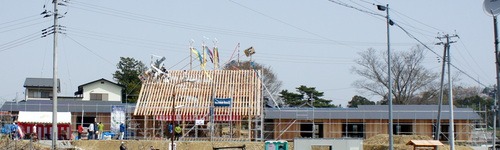 d0004728_6526.jpg