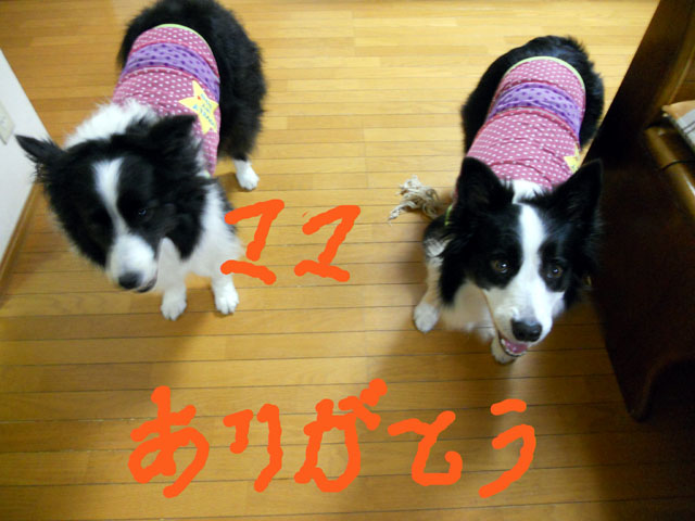 d0059230_103777.jpg
