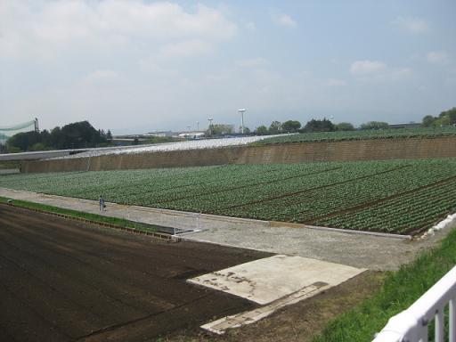 c0217931_15482929.jpg