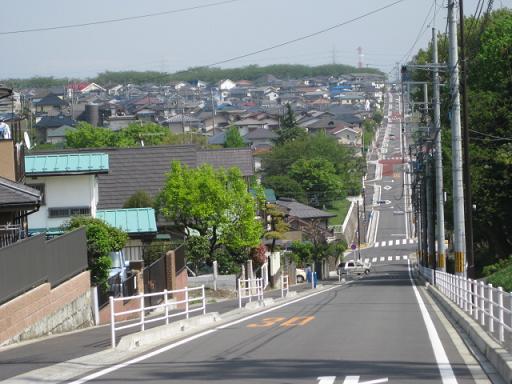 c0217931_1653189.jpg