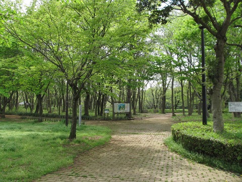 e0202031_19214496.jpg
