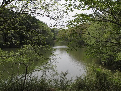 e0202031_1925748.jpg