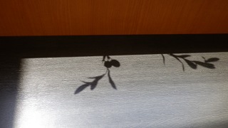 e0202031_20394296.jpg