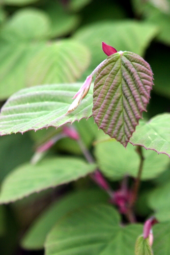 c0038434_14425244.jpg