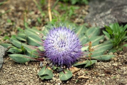 c0038434_14482953.jpg