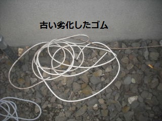 一番乗りで・・・ええ??こんなところで・・・_f0031037_19444021.jpg