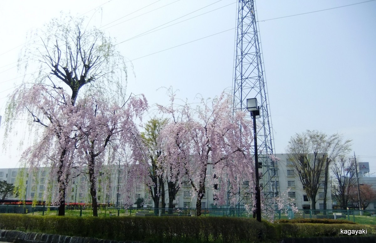 e0206242_11103679.jpg