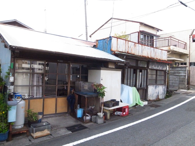 yellow roof & red roof_d0057843_195854100.jpg
