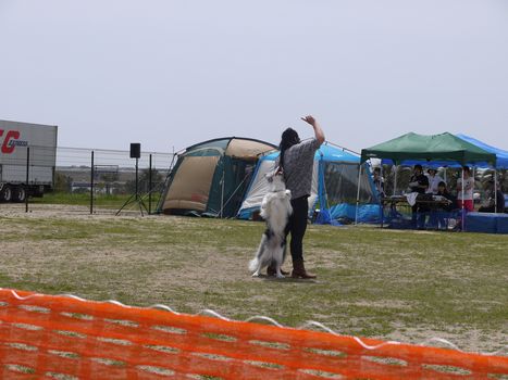 ２０１２年　春のドッグダンス競技会（お友達＆先生編）_a0148349_23926100.jpg