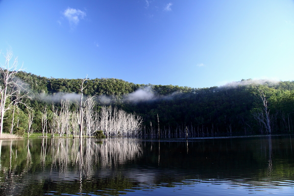 a0210153_22191599.jpg
